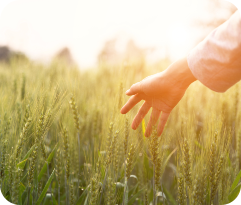 의료진과 함께하는 소수 정예 심리상담
